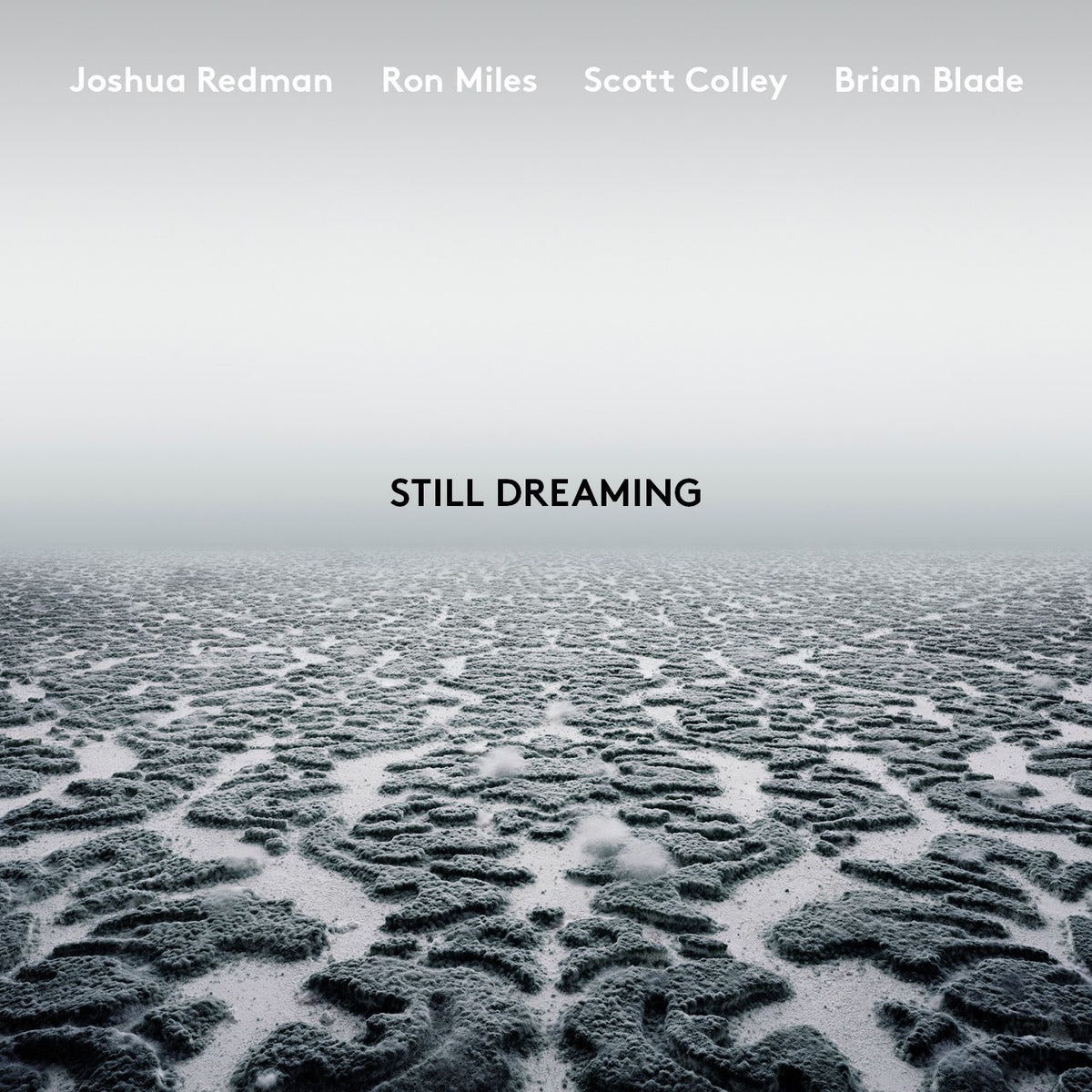 Joshua Redman / Ron Miles / Sc | Still Dreaming | CD