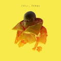 POS | Chill Dummy (Dig) | CD