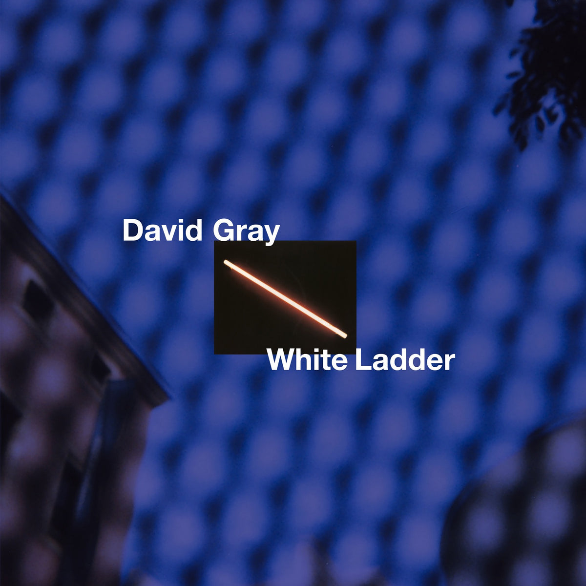 Gray, David | White Ladder | CD