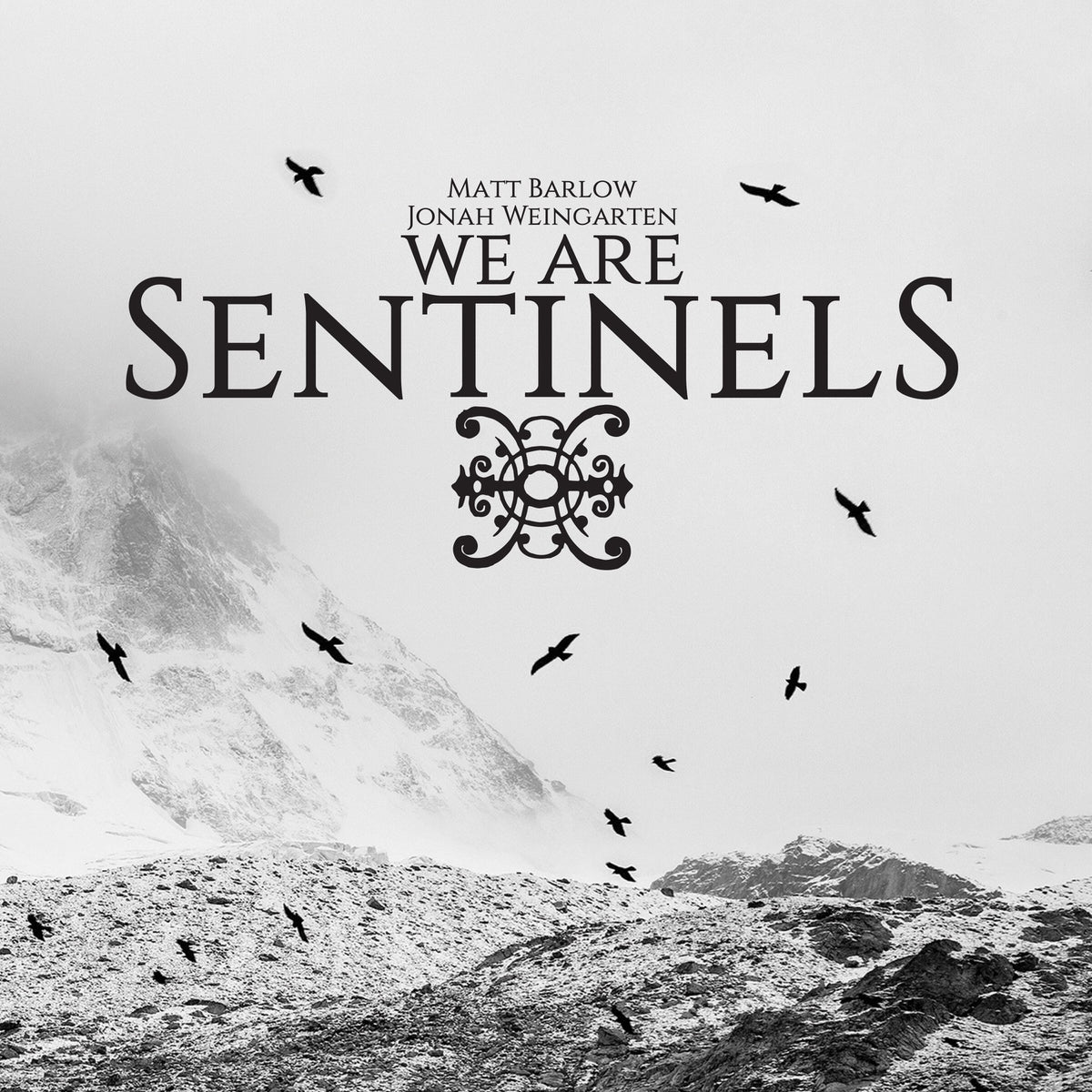 We Are Sentinels | We Are Sentinels | CD