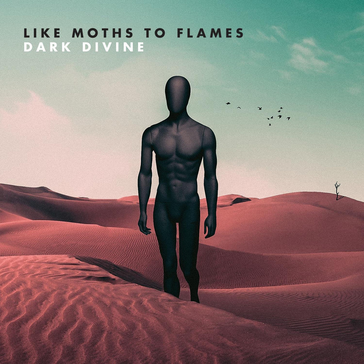 Like Moths To Flames | Dark Divine | CD