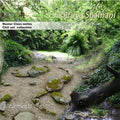 Riituya, Shamani | Elements | CD