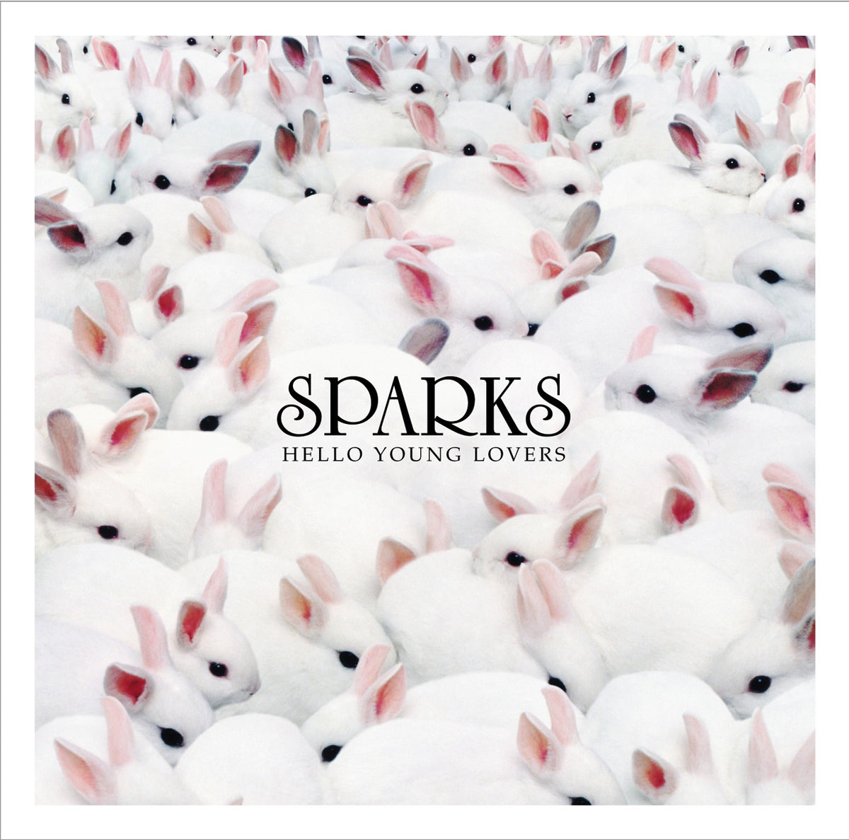 Sparks | Hello Young Lovers | 2LP
