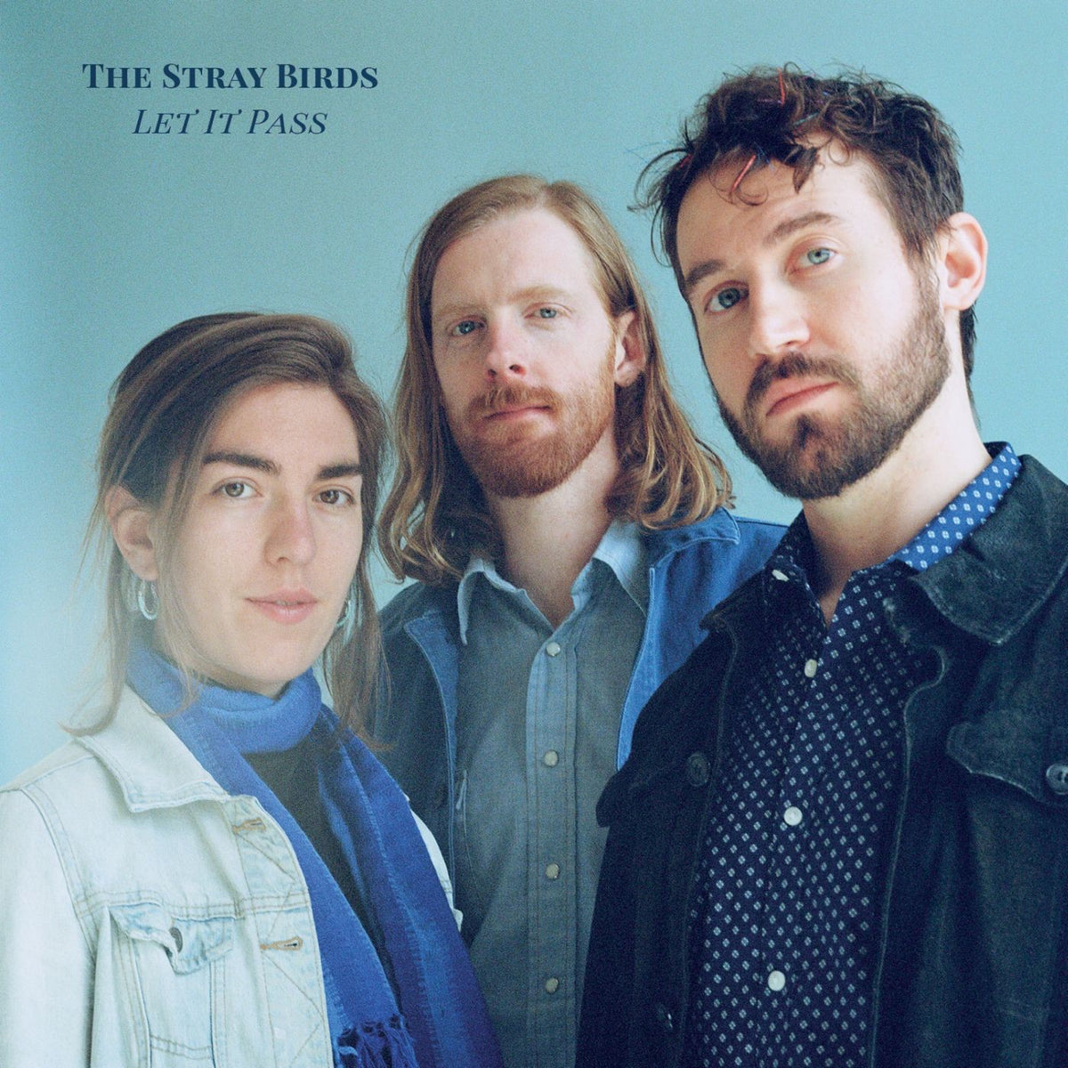 Stray Birds | Let It Pass | CD