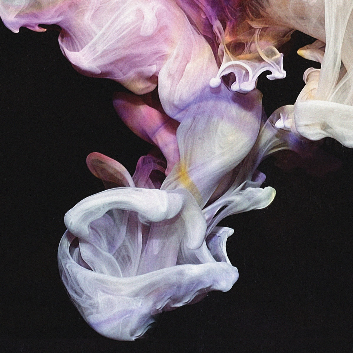 Simian Mobile Disco | Murmurations | CD
