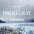 Gray, David | Life In Slow Motion | CD