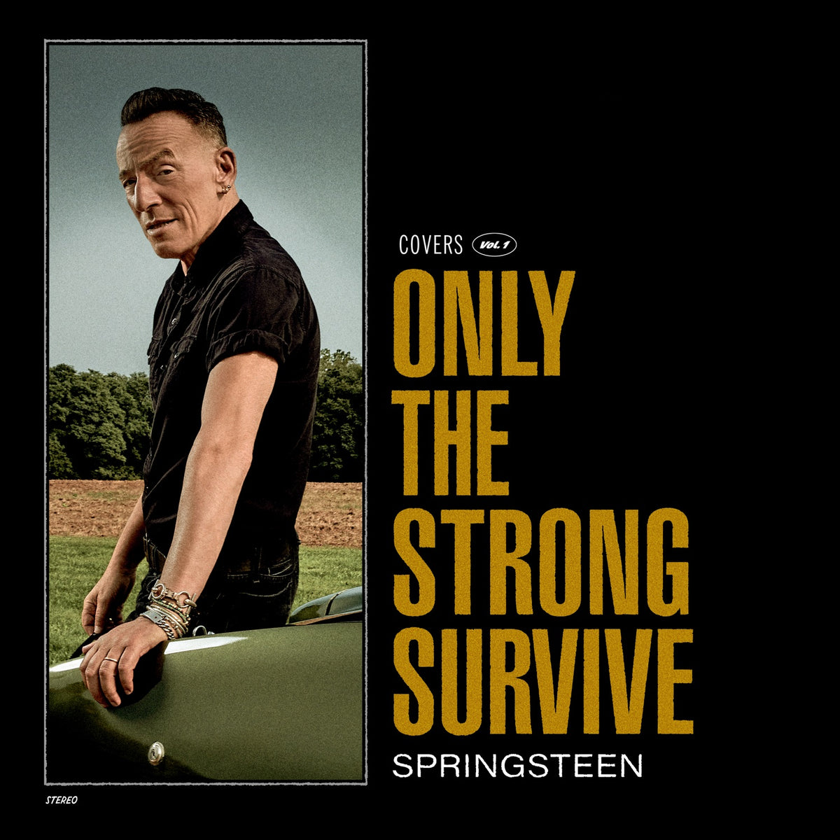Springsteen, Bruce | Only The Strong Survive | CD