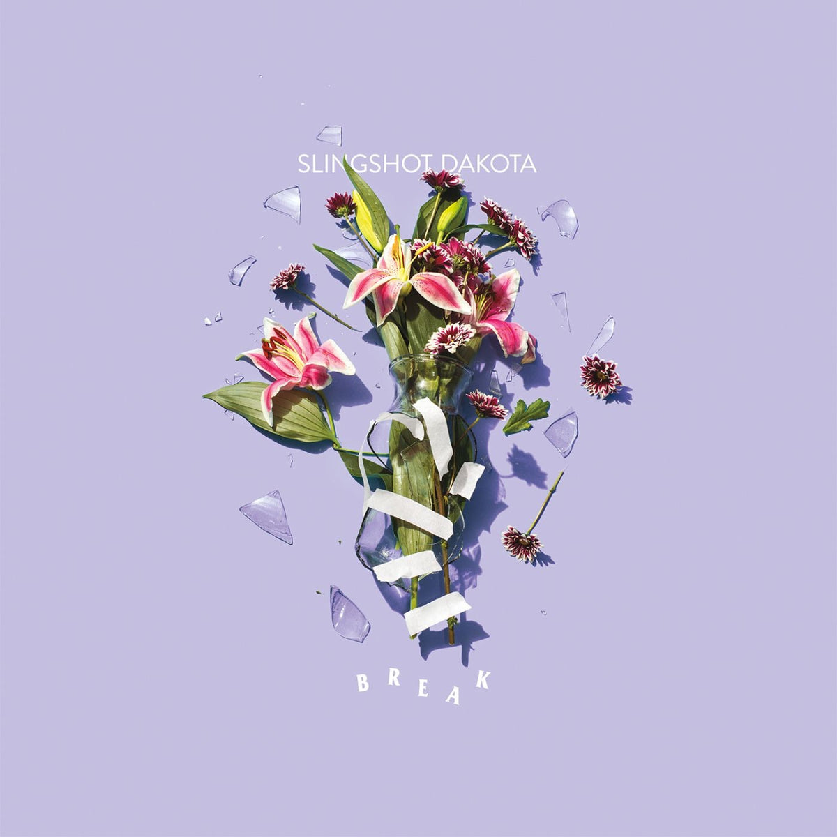 Slingshot Dakota | Break | CD