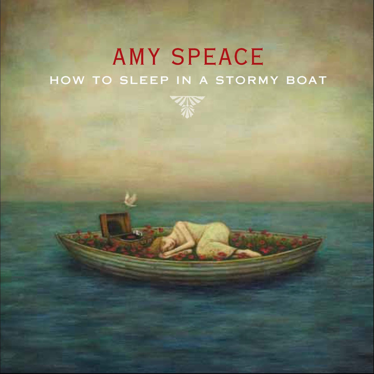 Speace, Amy | How To Sleep In A Stormy Boat | CD