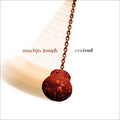 Joseph, Martyn | Evolved | CD