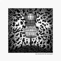 Sam Duckworth | Mannequin | CD