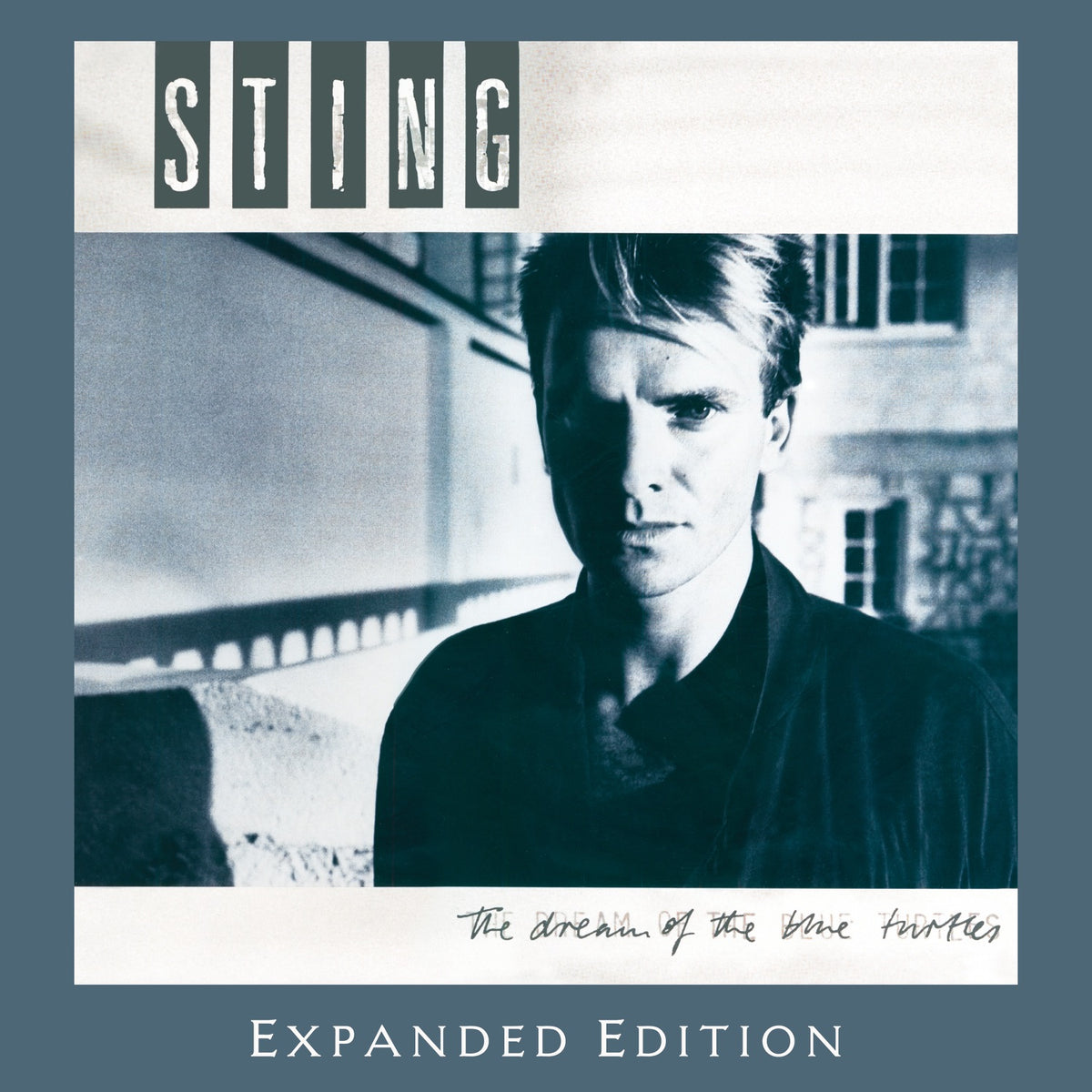 Sting | Dream Of The Blue Turtles | CD