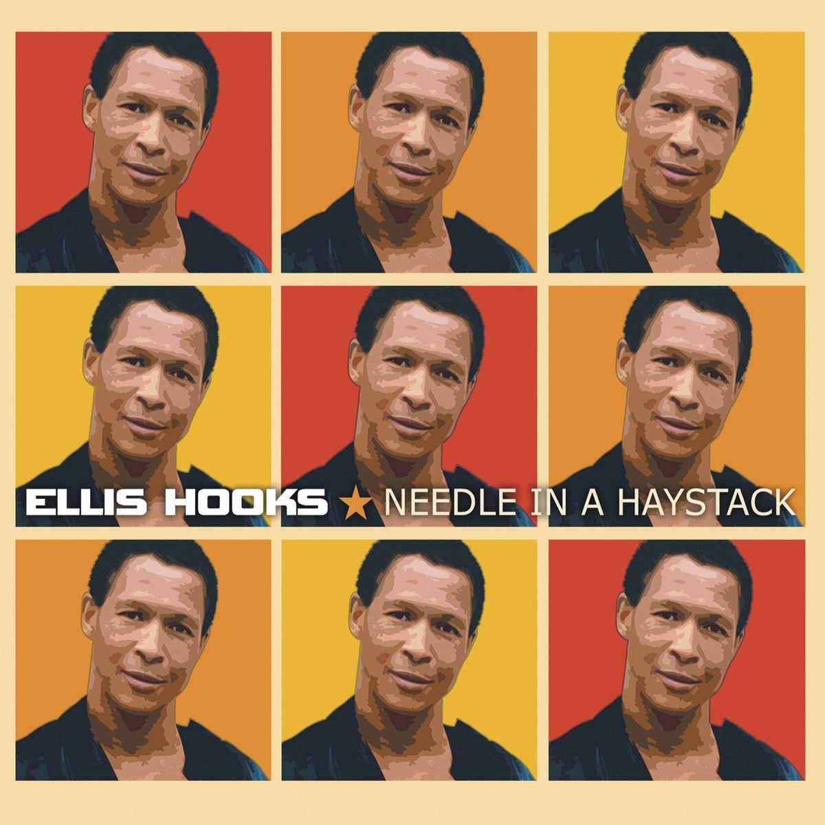 Hooks, Ellis | Needle In A Haystack | CD