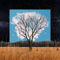 Fink | Bloom Innocent (Book Edition) | CD