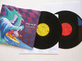 MGMT | Congratulations | 2LP front cover