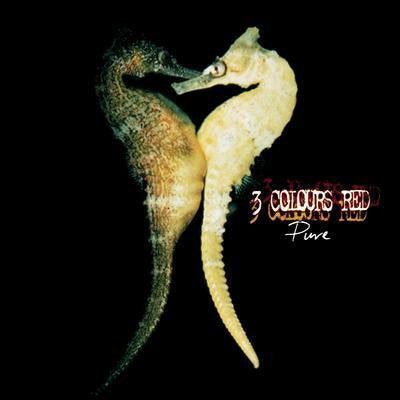 3 Colours Red | Pure | CD