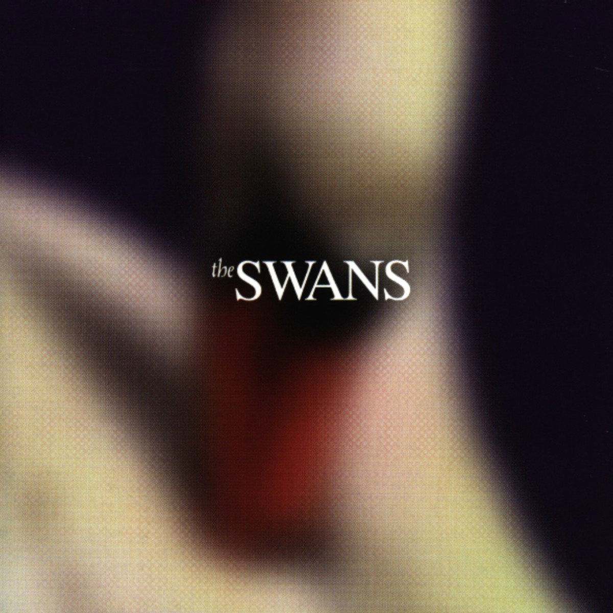 Swans | Photographs & Letters | CD