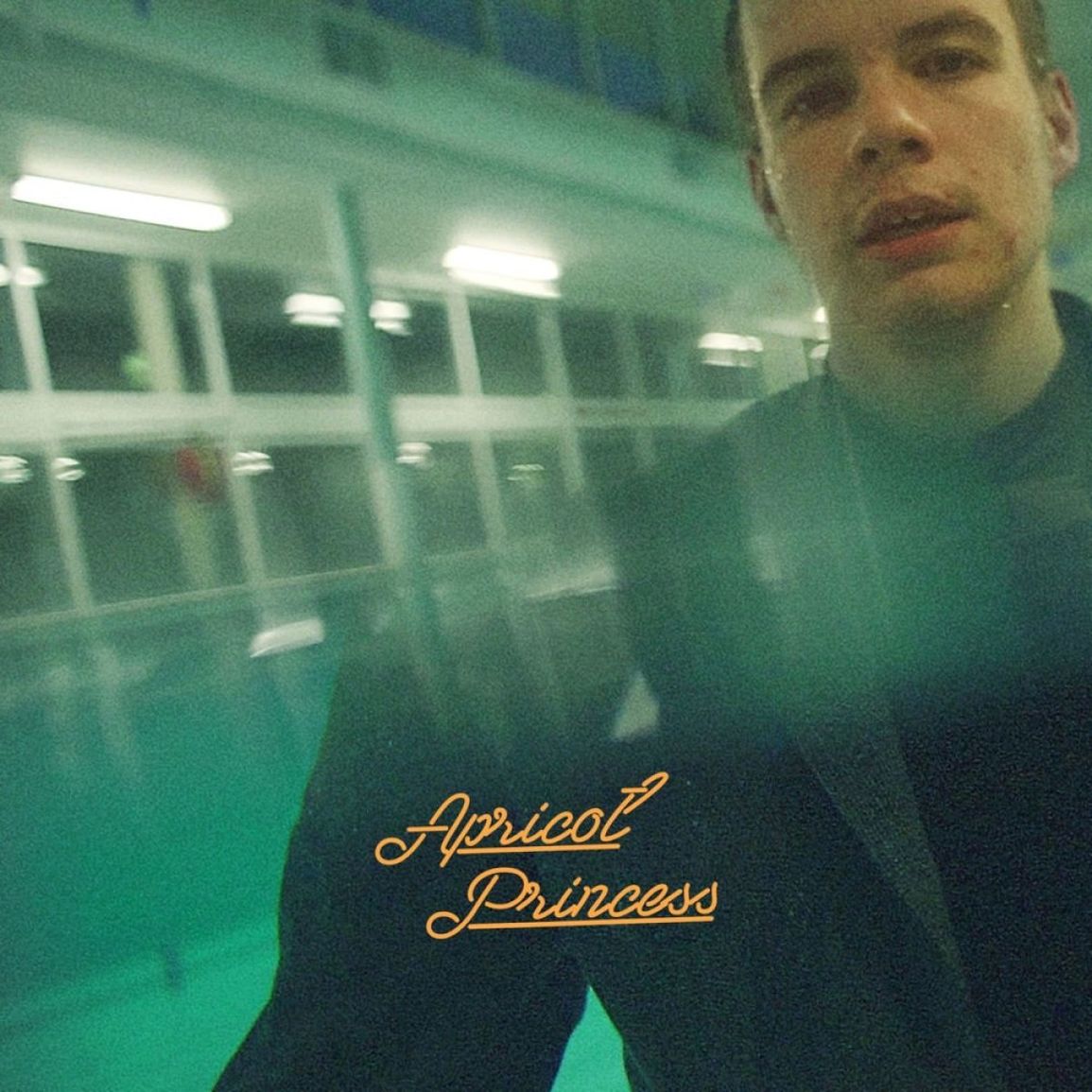 Rex Orange County | Apricot Princess | 1LP front cover
