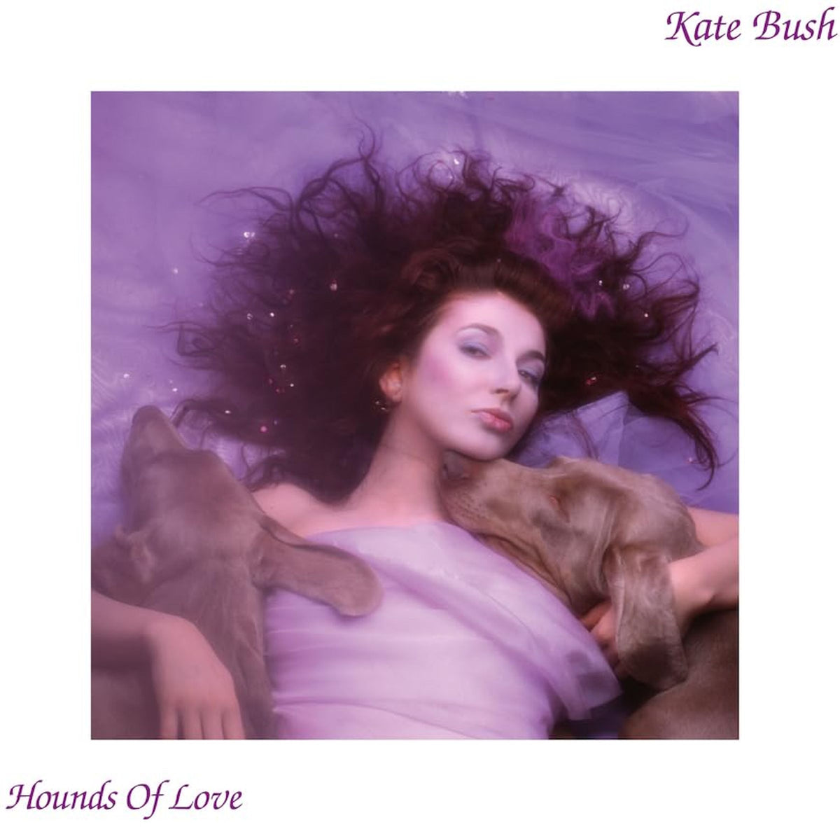 Kate Bush album cover