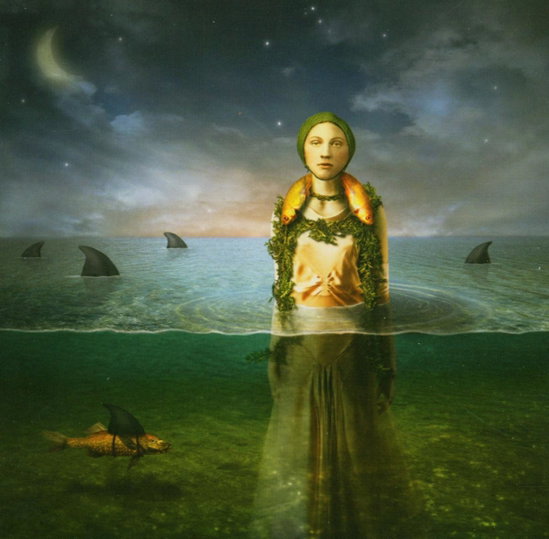 The Bled | Found in the Flood | CD