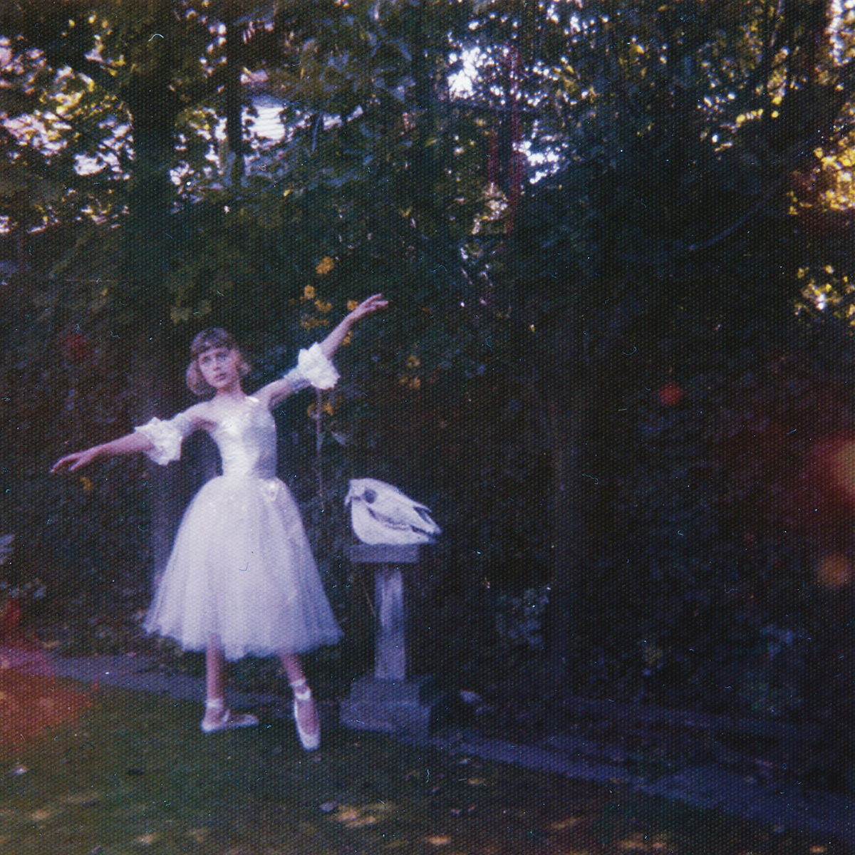 Wolf Alice | Visions of a Life | CD