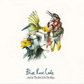Blue Rose Code | And Lo! The Bird Is on the Wing | CD