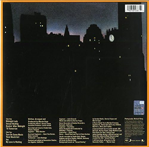 Marvin Gaye | Midnight Love | 2LP