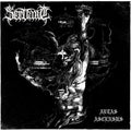 Servant | Aetas Ascensus | CD