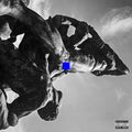 Port Noir | CUTS | CD
