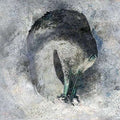 SUMA | Ashes | CD