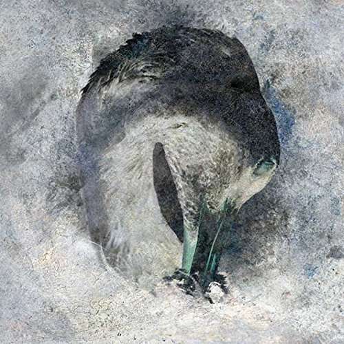 SUMA | Ashes | CD