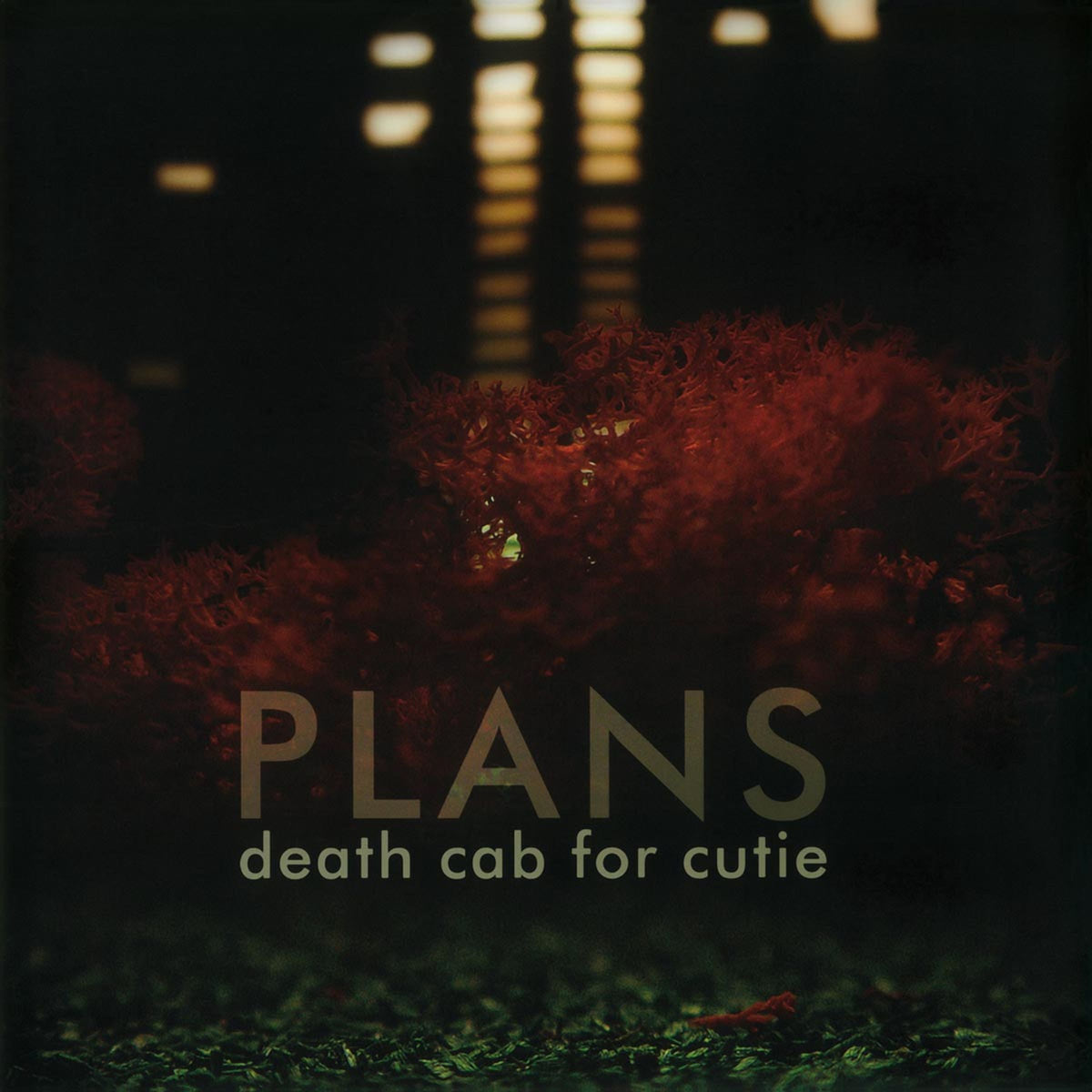 Album front cover