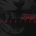 Accept | Predator | CD
