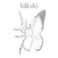 Kathinka | Kathinka | CD