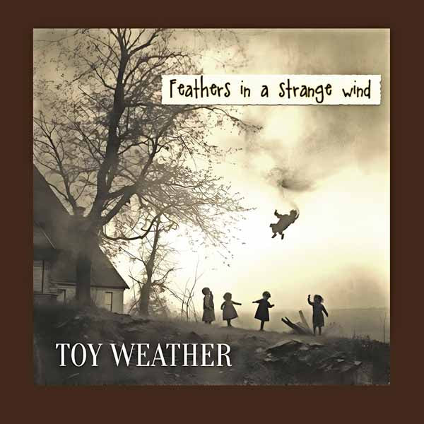 Toy Weather | Feathers In A Strange Wind | CD