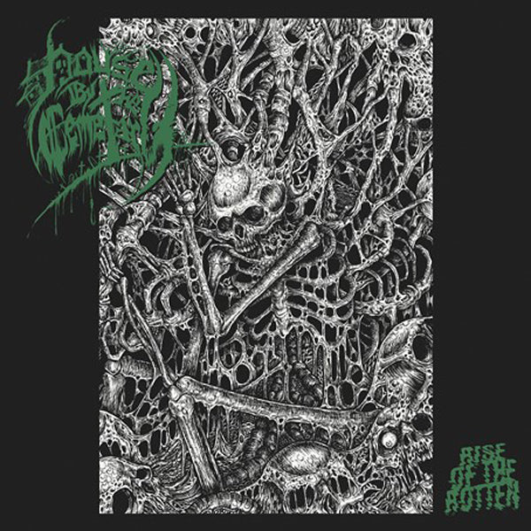 House By The Cemetary | Rise Of The Rotten | LP