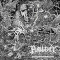 Purulency | Transcendent Unveiling Of Dimensions | CD