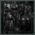 Enisum | Seasons Of Desolation | 2LP