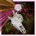 Mari Boine | Alva | CD