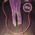 Buffalo Tom | Jump Rope | CD