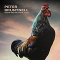 Peter Bruntnell | Houdini And The Sucker Punch [Vinyl] | LP