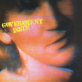 Government Issue | The Fun Just Never Ends | LP