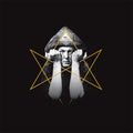 Institution D.O.L. | The Thelema Tales (White Vinyl) | LP
