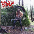 Vultyrium | Vultyrium | LP