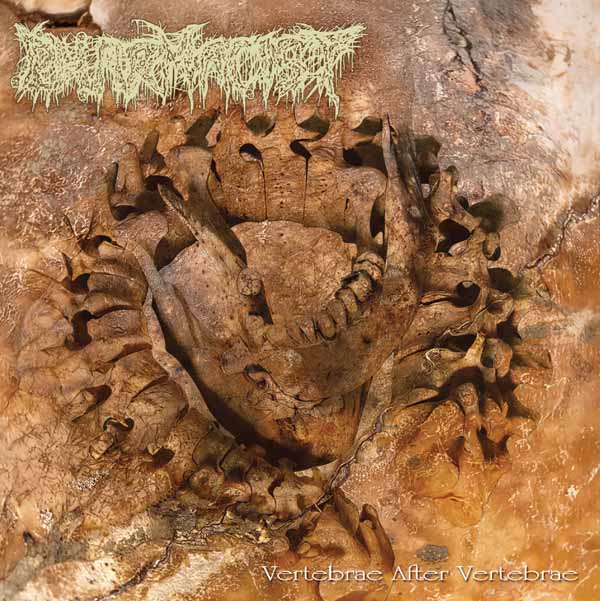 Pharmacist | Vertebrae After Vertebrae (Lucky Dip) | LP
