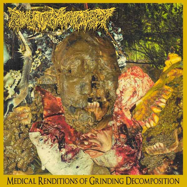 Pharmacist | Medical Renditions Of Grinding Decomposition | LP