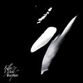 Rainforest Spiritual Enslavement | Killer Whale Atmospheres (2lp) | 2LP