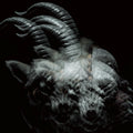 The Gazette | Beautiful Deformity | CD