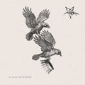 Acarash | In Chaos Becrowned | CD