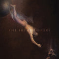 Five The Hierophant | Through Aureate Void | CD